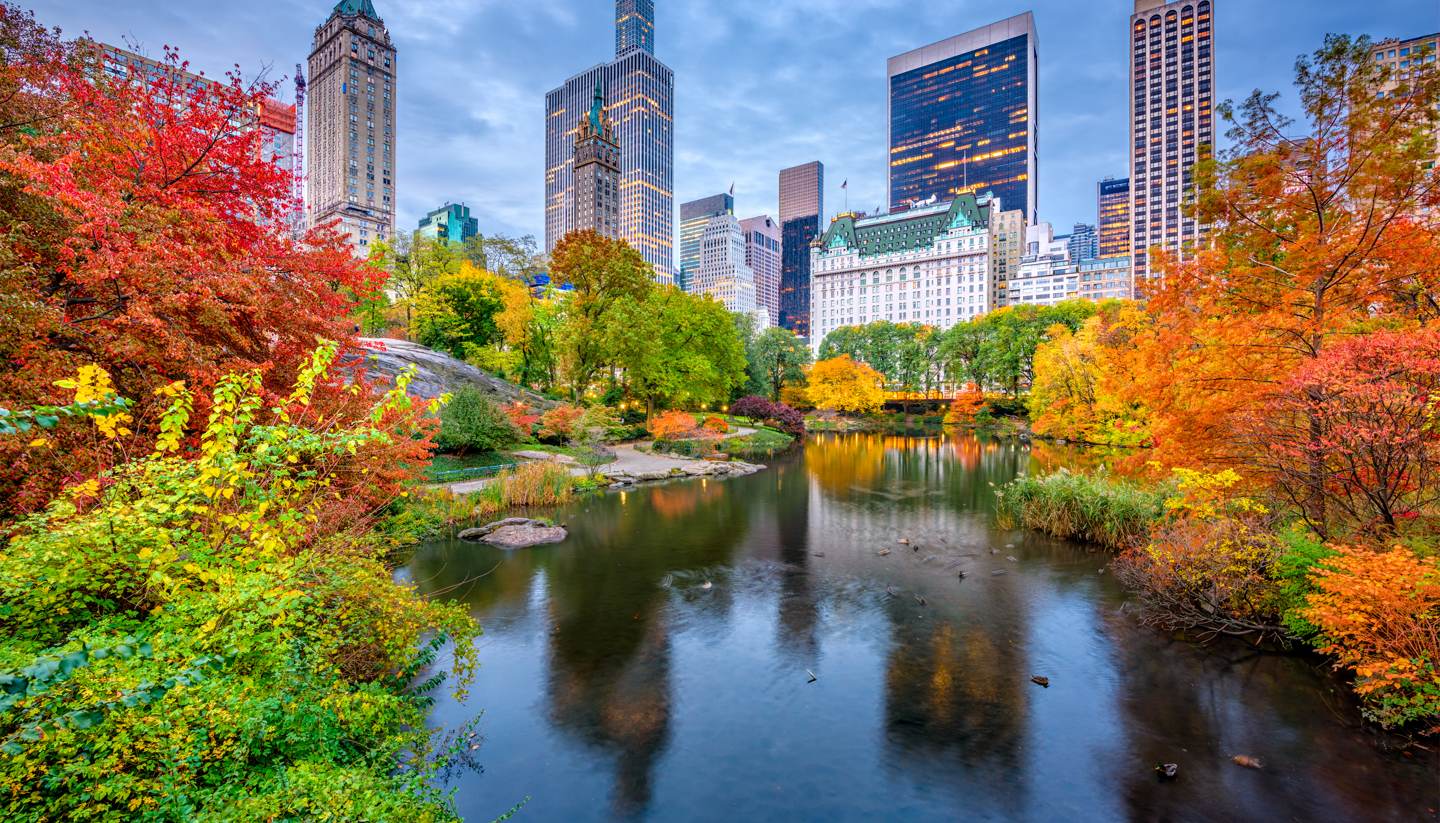 shu-USA-New-York-Central-Park-in-Autumn-711159205-1440x823.jpg